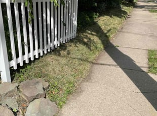 Leaf Removal by Ismael Mollett for Idan J. in Pittsburgh, PA