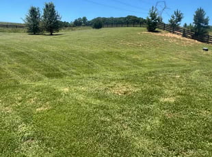 Jerry H.'s Grass Cutting service result