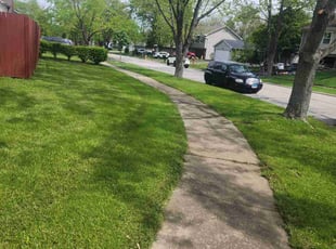 Eddy W.'s Lawn Mowing service result