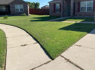 Ben C.'s Grass Cutting service result