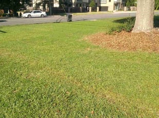 Charles A W.'s Lawn Care service result