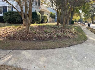 Leaf Removal by Steven Moreira for Ian W. in Virginia Beach, VA