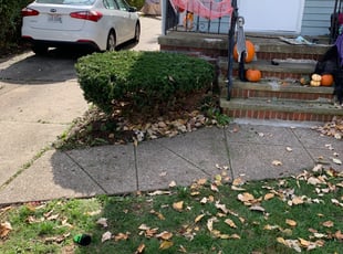 Bush Trimming by Brutell Dandridge for Charles M. in Euclid, OH