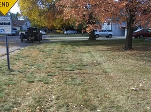 Leaf Removal by Ross Olin for Pache L. in Minneapolis, MN
