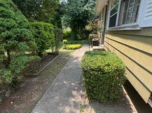 Leaf Removal by William Peterson for Joann S. in Sicklerville, NJ