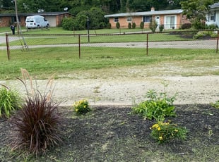 Cleanups by Ted Ostavitz for Megan Z. in Cincinnati, OH