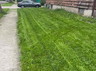 Leaf Removal by Michael Miller for Daniyal A. in Niagara Falls, NY