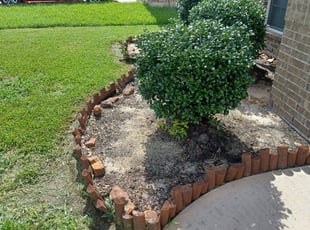 Weeding by Eric Estrada for Elaine L. in Humble, TX