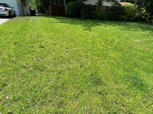 Sue L.'s Lawn Mowing service result