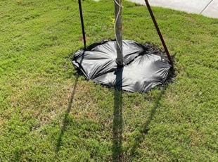 Mulching by Stanmore Hinds for Rick P. in New Braunfels, TX