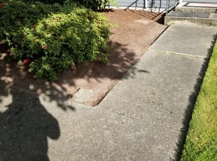 Landscaping by Jose Chavez for Brandi W. in Auburn, WA