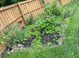 Weeding by Dimas Lopez for Carliss M. in Parkville, MD