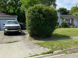 Bush Trimming by Steve Johnson for Rain H. in Columbus, OH