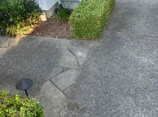 Bush Trimming by Richard Luiza Jr for Yiming S. in Newcastle, WA