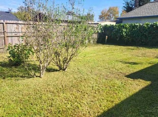 Cleanups by Pamela Gomez for Paul S. in Houston, TX