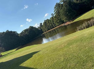 Christina T.'s Lawn Maintenance service result