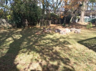 Leaf Removal by Sarah Skinner for Josie C. in Charlotte, NC