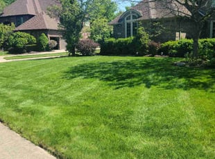 Robert P.'s Lawn Service service result