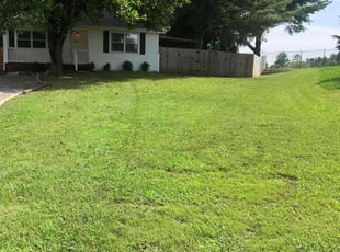 Kenneth B.'s Lawn Mowing service result