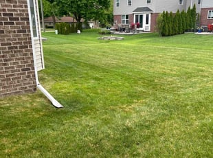 Dennis B.'s Lawn Service service result