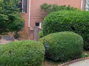 Weeding by Raymond Hite-witt for Xiao X. in Alpharetta, GA