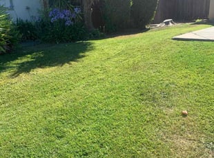 Alvin C.'s Lawn Care service result