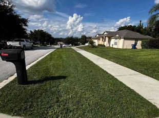 Derrick F.'s Lawn Service service result