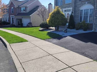 Diane T.'s Yard Cutting service result