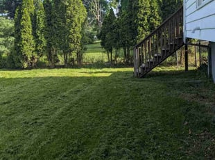 Jeffrey F.'s Lawn Service service result