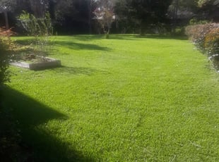 Dawn A.'s Lawn Maintenance service result