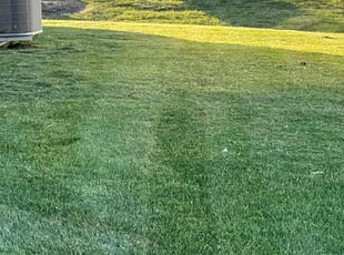 Clarence W.'s Lawn Mowing service result
