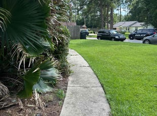 Bush Trimming by Terrain Lewis for Kellie M. in Tallahassee, FL