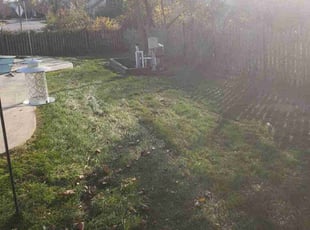 Leaf Removal by Jamil Hafeeza for Kay S. in Evesham, NJ