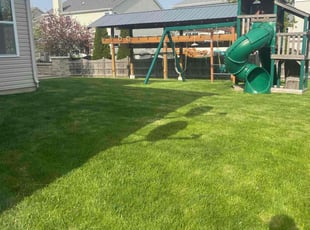 Sue F.'s Grass Cutting service result