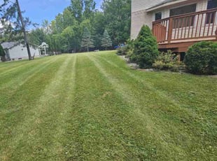 Karen N.'s Yard Cutting service result
