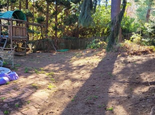 Leaf Removal by Rose Valle for Randy W. in Annandale, VA