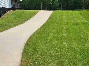Jenell V.'s Lawn Mowing service result