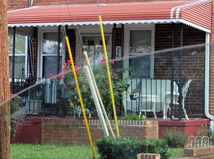 Bush Trimming by Jessica Porter for Loretta T. in Washington, DC