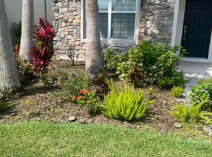 Weeding by Miguel Santana for Brianna B. in Zephyrhills, FL