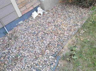 Weeding by Rick Mallett for Shavanna C. in Fort Collins, CO