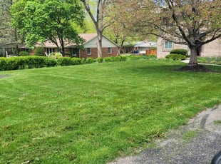 Chastity L.'s Lawn Maintenance service result