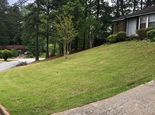 Bush Trimming by Lakin Duffy for Randall G. in Jonesboro, GA