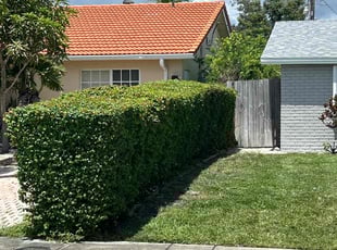 Bush Trimming by Jace Major for Mark K. in Pompano Beach, FL