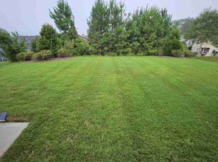 Harvey S.'s Lawn Service service result