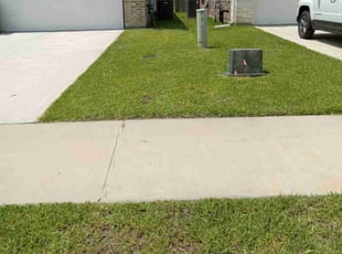 Walter H.'s Grass Cutting service result