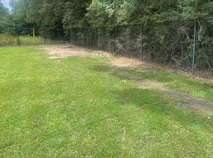 Bush Trimming by Anthony Simon for Richard L. in New Caney, TX