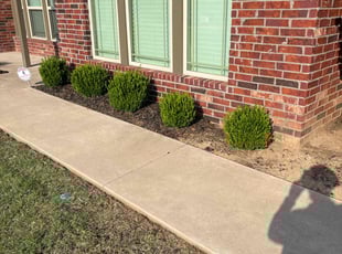 Weeding by Jordan Alvarez for Sam S. in Sand Springs, OK