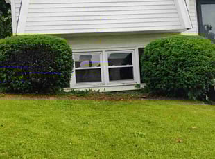 Bush Trimming by Julian Carrero for Orlando M. in Meriden, CT
