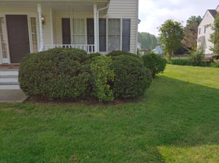 Bush Trimming by Chris Thomas for Rochelle B. in Midlothian, VA
