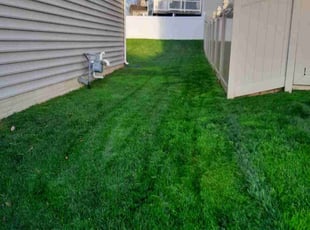 Adam A.'s Lawn Care service result
